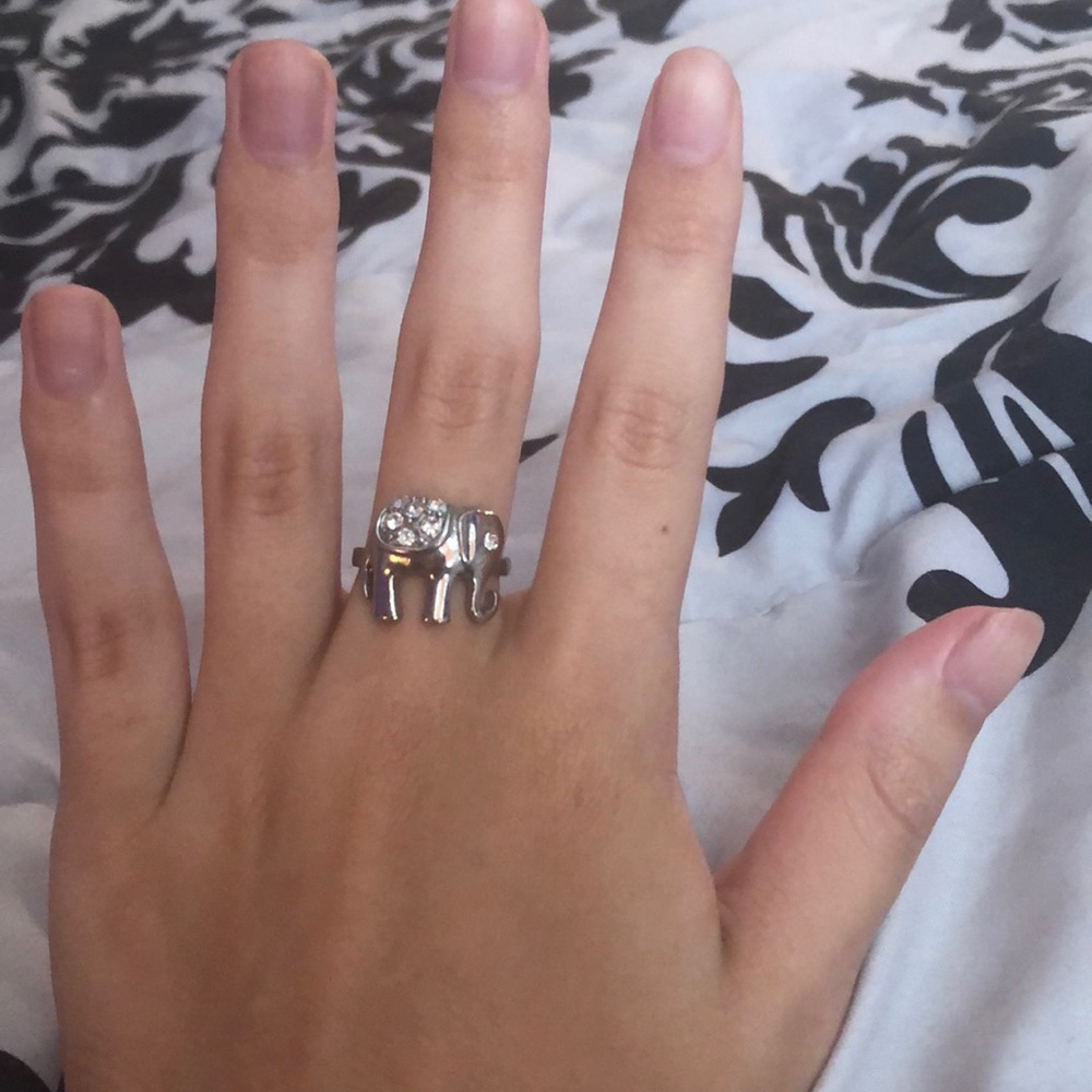 Three Animal Rings Bundle - Picture 4 of 4